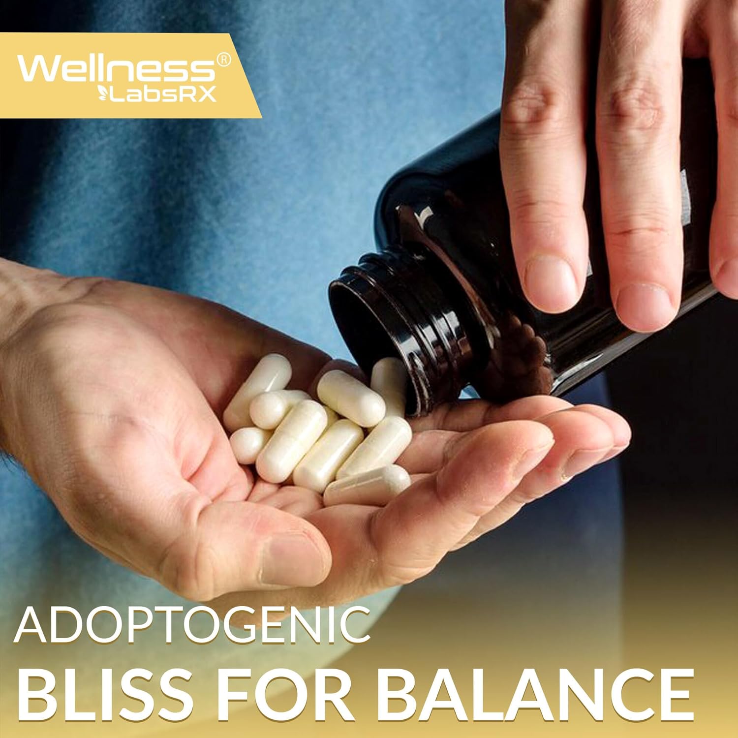 Lion's Mane Capsules for Balance Lion's Mane Capsules for Balance