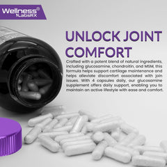 MSM Glucosamine & Chondroitin, Joint Support, Back Pain, Knee Pain - Triple Strength MSM Glucosamine & Chondroitin, Joint Support, Back Pain, Knee Pain - Triple Strength