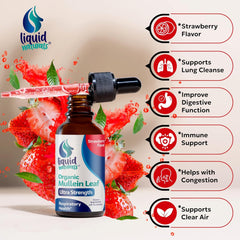 Organic Mullein Leaf Liquid Drops 1500mg – Natural Citrus Flavor – 2 fl. oz. Organic Mullein Leaf Liquid Drops 1500mg – Natural Citrus Flavor – 2 fl. oz.