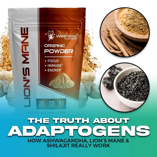 Adaptogen supplements including Ashwagandha, Lion’s Mane, and Shilajit for natural stress relief, focus, and energy support.