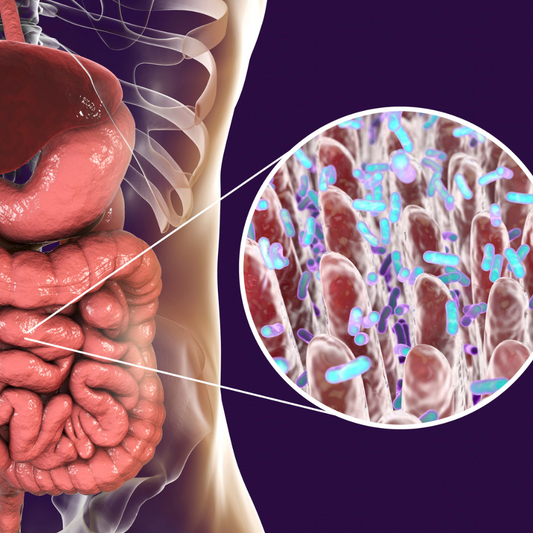 A Natural Digestive Enzyme with Benefits