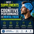 Best Supplements for Cognitive Performance and Mental Focus