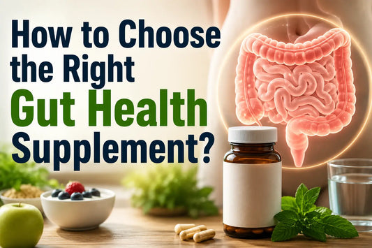 How to Choose the Right Gut Health Supplement