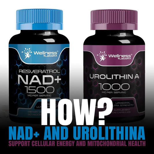 NAD+ and Urolithin A