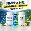 NMN vs NR: Which NAD+ Precursor Is Right for You?