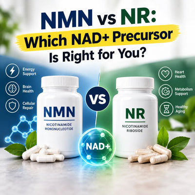 NMN vs NR: Which NAD+ Precursor Is Right for You?
