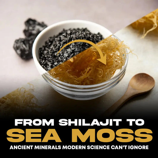 Shilajit and Sea Moss Benefits