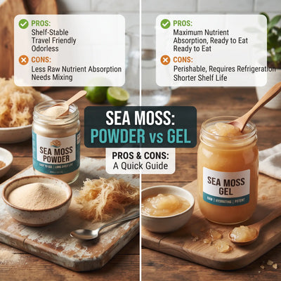 Sea Moss Powder vs Gel