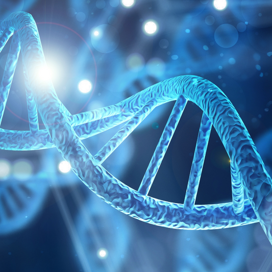 Unlocking the Power of NAD