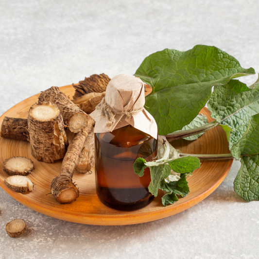 Why Burdock Root is Trending in Herbal Wellness