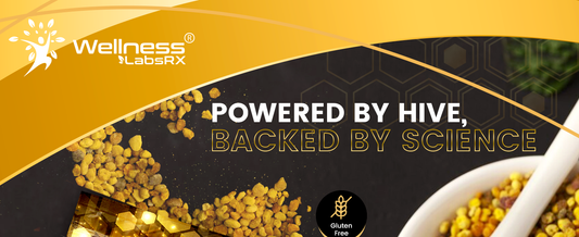 buy daily gummy supplement