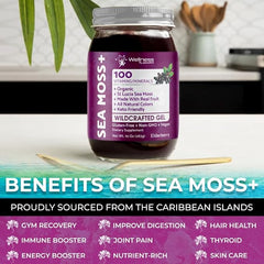 Organic Wildcrafted Sea Moss Gel All Natural Elderberry Flavor – 10 oz