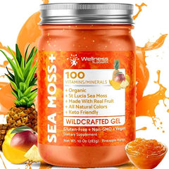 Pineapple Mango Sea Moss Gel | Pineapple Mango Sea Moss|WellnessLabsRx