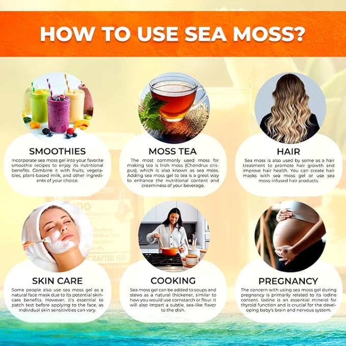 Pineapple Mango Sea Moss Gel | Pineapple Mango Sea Moss|WellnessLabsRx