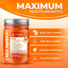 Pineapple Mango Sea Moss Gel | Pineapple Mango Sea Moss|WellnessLabsRx