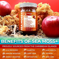 Organic Wildcrafted Sea Moss Gel All Natural Apple Cinnamon Flavor - 10 Oz