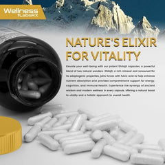 Liposomal Shilajit + Fulvic Acid 15,000mg Ultra Strength – 120 Capsules