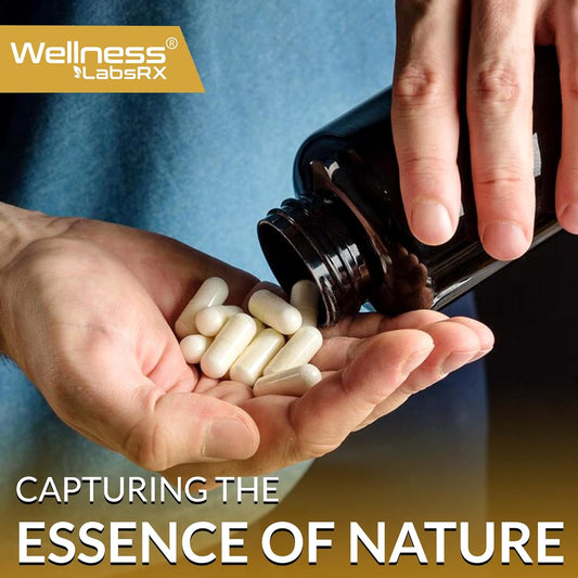 Shilajit Capsule