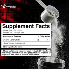 WELLNESS LABSRX Creatine Monohydrate Powder