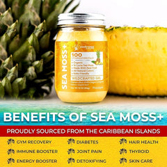 Organic Wildcrafted Sea Moss Gel All Natural Pineapple Flavor – 10 oz
