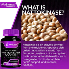 What is Nattokinase ?