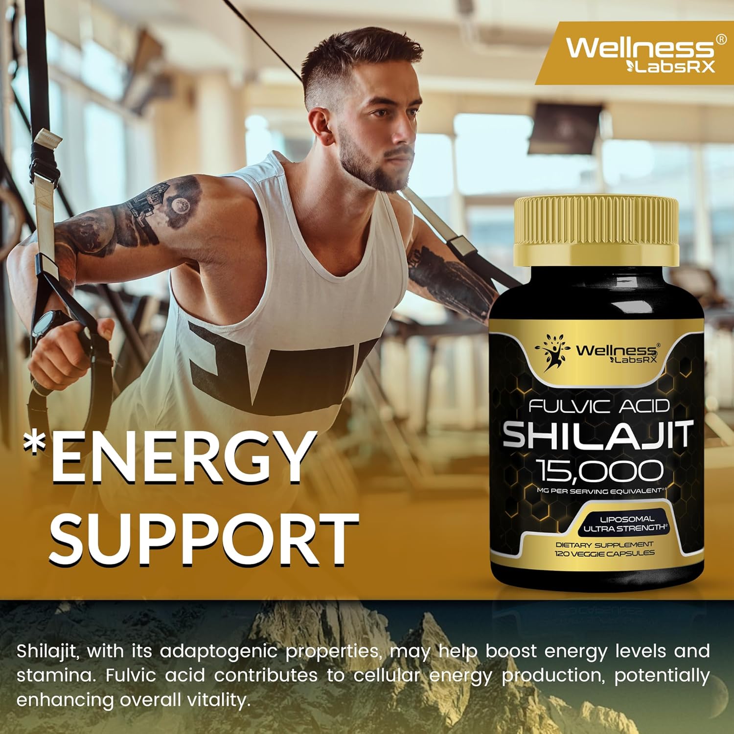 Shilajit Capsule for Energy Support