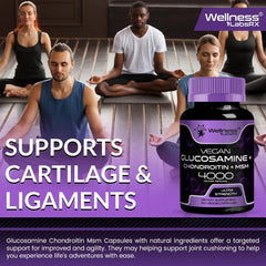 Glucosamine Chondroitin MSM, Joint Support, Back Pain, Knee Pain - Triple Strength