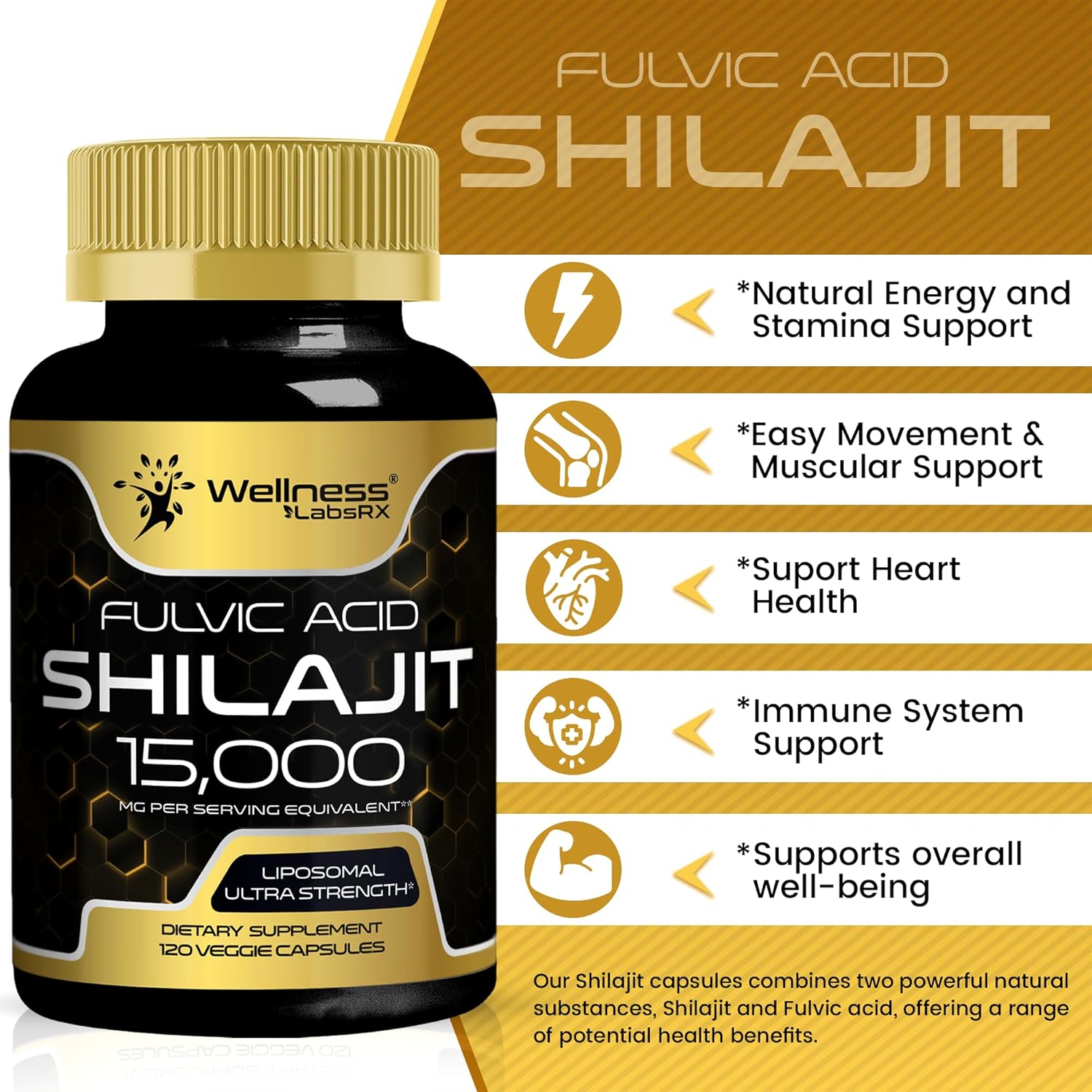 Shilajit Capsule Benefits