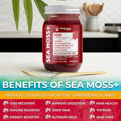 Organic Wildcrafted Sea Moss Gel All Natural Raspberry Flavor – 10 oz