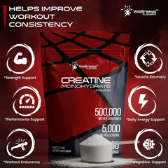 WELLNESS LABSRX Creatine Monohydrate Powder