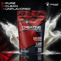WELLNESS LABSRX Creatine Monohydrate Powder