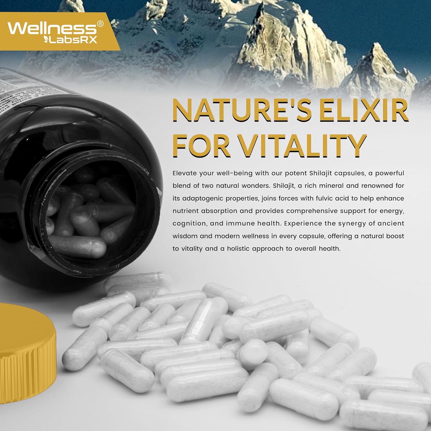 Shilajit Capsule