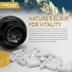 Shilajit Capsule