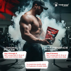 WELLNESS LABSRX Creatine Monohydrate Powder