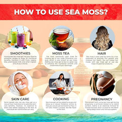 Organic Wildcrafted Sea Moss Gel All Natural Strawberry Flavor – 10 oz