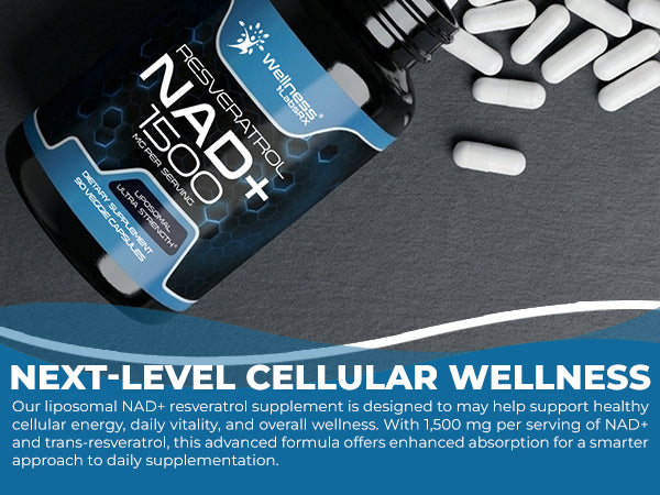 WELLNESS LABSRX