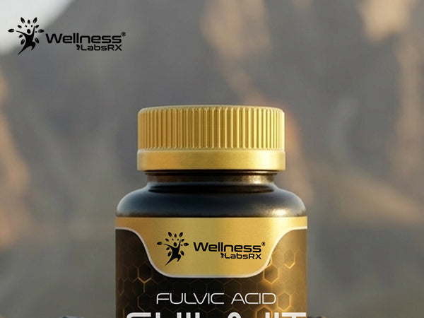 WELLNESS LABSRX