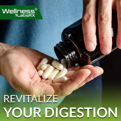 Digestive Enzymes, Prebiotics and Probiotics Supplement Capsules - 120 Count