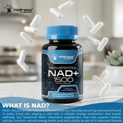 Liposomal NAD Capsules  + Resveratrol 1500mg - 90 Capsules