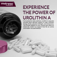 Liposomal Urolithin A Capsules - 1000 mg (120 Count)