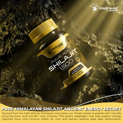 Liposomal Shilajit Capsules + Fulvic Acid 1,500mg