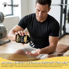 Liposomal Shilajit Capsules + Fulvic Acid 1,500mg