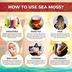 Organic Wildcrafted Sea Moss Gel All Natural Strawberry Banana Flavor – 10 Oz
