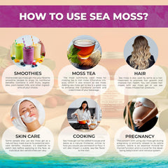 Organic Wildcrafted Sea Moss Gel All Natural Elderberry Flavor – 10 oz