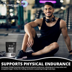 Pure Himalayan Shilajit Gummies - 90 Count