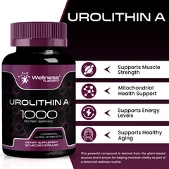 Liposomal Urolithin A Capsules - 1000 mg (120 Count)