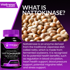 Liposomal Nattokinase  5000 FU – 120 Capsules