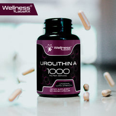 Liposomal Urolithin A Capsules - 1000 mg (120 Count)